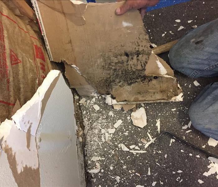 Mold growth found in drywall of residential home