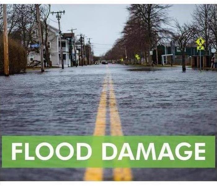 Flood damage in green letters with flooded street 